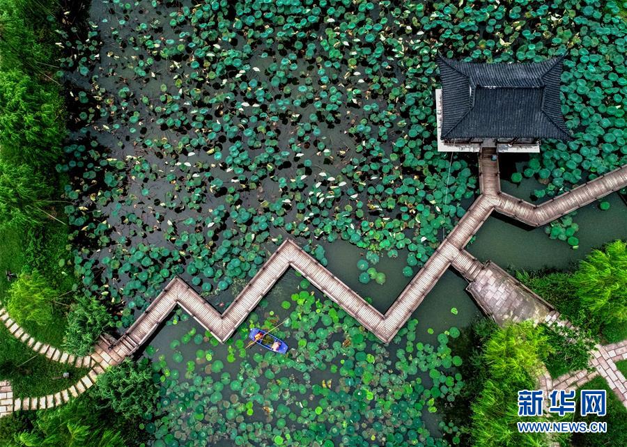 (社會)(2)浙江長興:清潔水面 扮靚鄉(xiāng)村