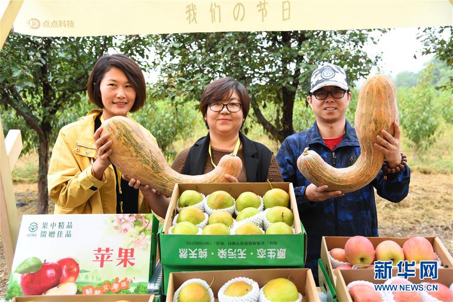 9月24日，果農(nóng)在平谷特色農(nóng)產(chǎn)品展示區(qū)展示農(nóng)產(chǎn)品。 當(dāng)日，北京市平谷區(qū)2020年中國農(nóng)民豐收節(jié)活動在平谷區(qū)馬昌營鎮(zhèn)開幕。本次活動以“慶豐收 迎小康”為主題，包括歐李節(jié)、紅薯節(jié)、大華山鎮(zhèn)級農(nóng)民豐收節(jié)等。 新華社記者 任超 攝
