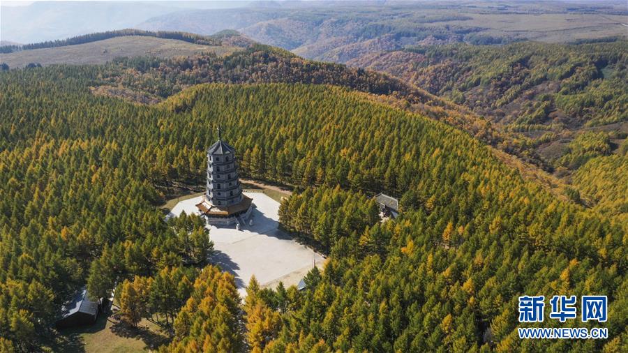 9月27日拍攝的塞罕壩國家森林公園美景（無人機照片）。新華社發(fā)（劉滿倉 攝）