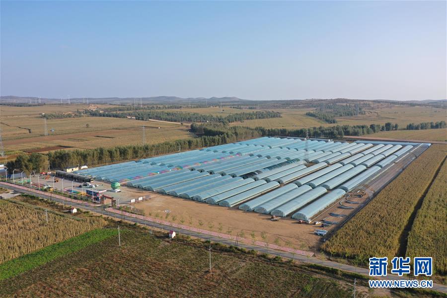 (全面建成小康社會“百城千縣萬村調研行”·圖文互動)(5)內蒙古興安盟:“最窮地”的逆襲