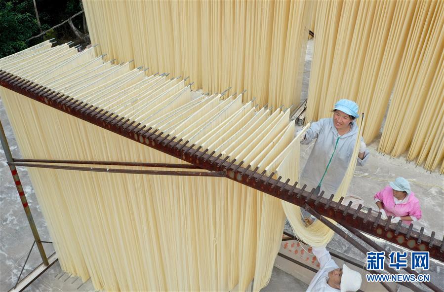 （社會(huì)）（4）河北威縣：掛面飄香促農(nóng)增收