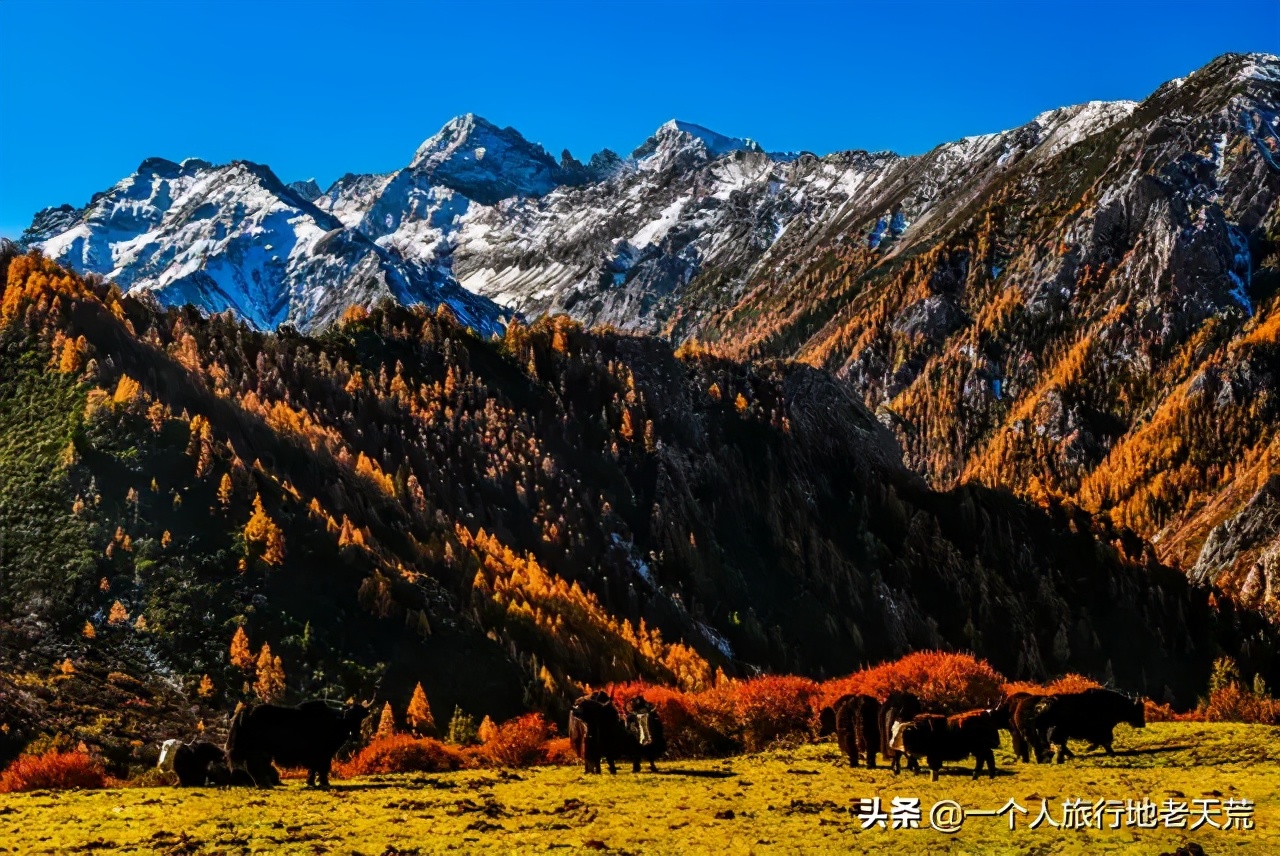 國內(nèi)十大戶外穿越線路，骨灰級玩家最愛，去過才不枉此生
