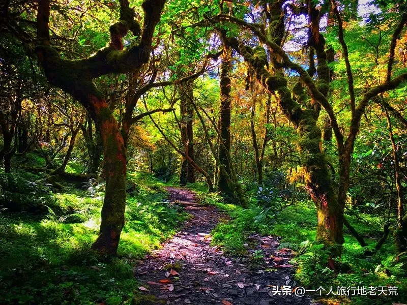 國內(nèi)十大戶外穿越線路，骨灰級玩家最愛，去過才不枉此生