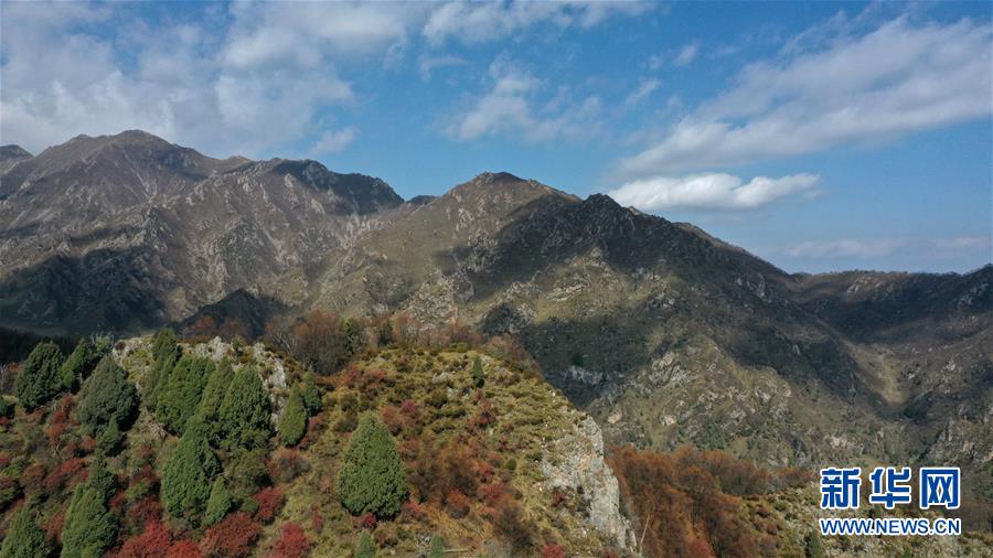 這是10月15日拍攝的北山國(guó)家森林地質(zhì)公園扎龍溝秋景（無人機(jī)照片）。 深秋時(shí)節(jié)，位于青海省海東市互助土族自治縣境內(nèi)的北山國(guó)家森林地質(zhì)公園內(nèi)，山巒、森林與藍(lán)天組成壯美的秋日畫卷。 新華社記者 張宏祥 攝