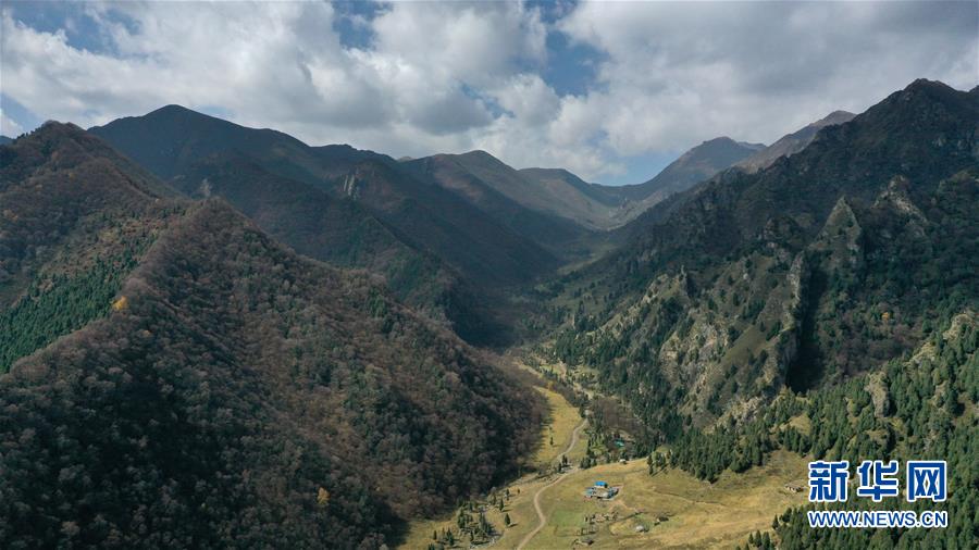 這是10月15日拍攝的北山國(guó)家森林地質(zhì)公園扎龍溝秋景（無人機(jī)照片）。 深秋時(shí)節(jié)，位于青海省海東市互助土族自治縣境內(nèi)的北山國(guó)家森林地質(zhì)公園內(nèi)，山巒、森林與藍(lán)天組成壯美的秋日畫卷。 新華社記者 張宏祥 攝