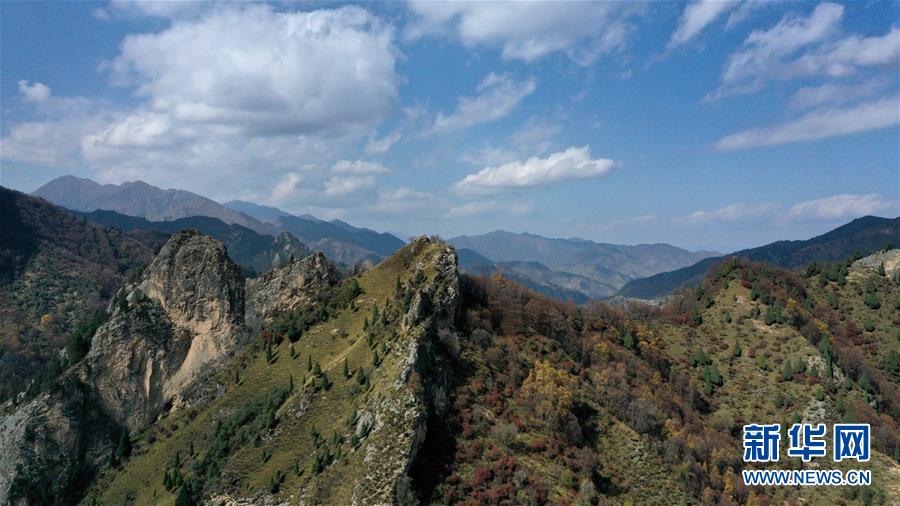 這是10月15日拍攝的北山國(guó)家森林地質(zhì)公園扎龍溝秋景（無人機(jī)照片）。 深秋時(shí)節(jié)，位于青海省海東市互助土族自治縣境內(nèi)的北山國(guó)家森林地質(zhì)公園內(nèi)，山巒、森林與藍(lán)天組成壯美的秋日畫卷。 新華社記者 張宏祥 攝