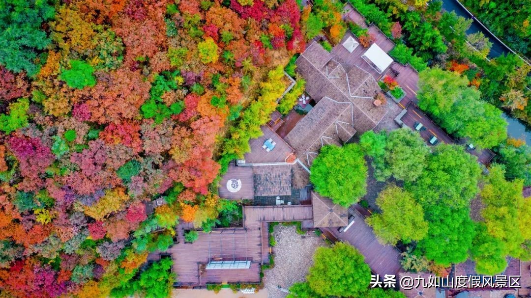 色彩斑斕迷人眼！盤點中國10大賞秋勝地，看一眼就想要即刻出發(fā)