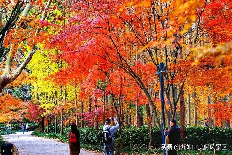 色彩斑斕迷人眼！盤點中國10大賞秋勝地，看一眼就想要即刻出發(fā)
