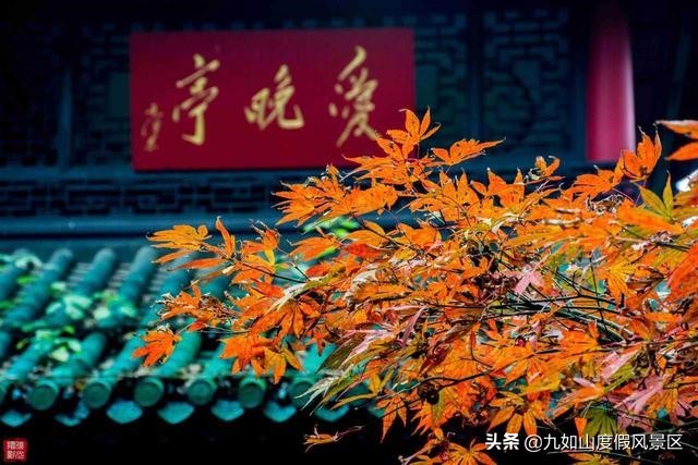 色彩斑斕迷人眼！盤點中國10大賞秋勝地，看一眼就想要即刻出發(fā)