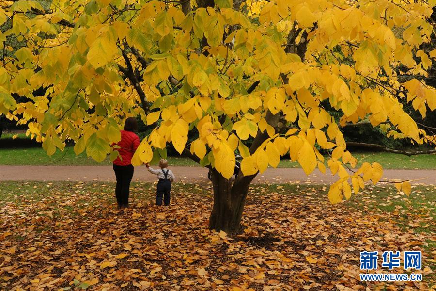 （國際）（5）英國：秋色滿園