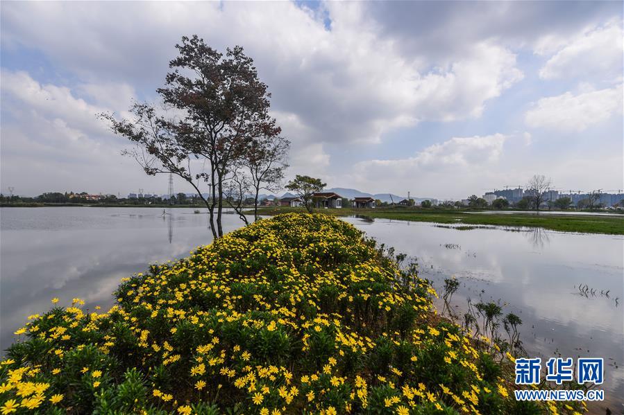 （環(huán)境）（1）浙江富陽：城市“生態(tài)綠肺”亮相