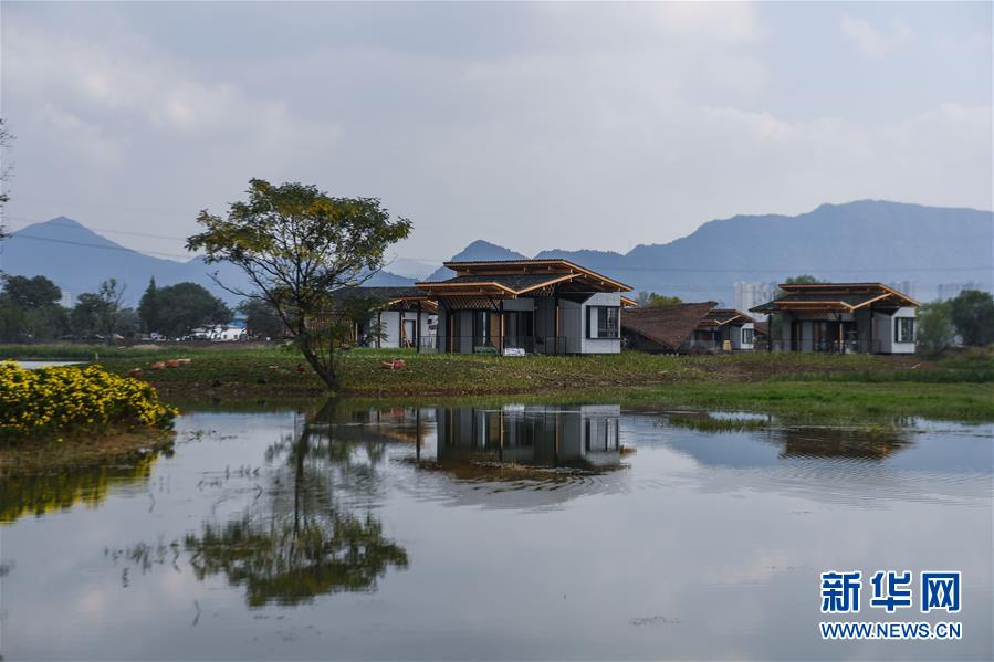（環(huán)境）（3）浙江富陽：城市“生態(tài)綠肺”亮相