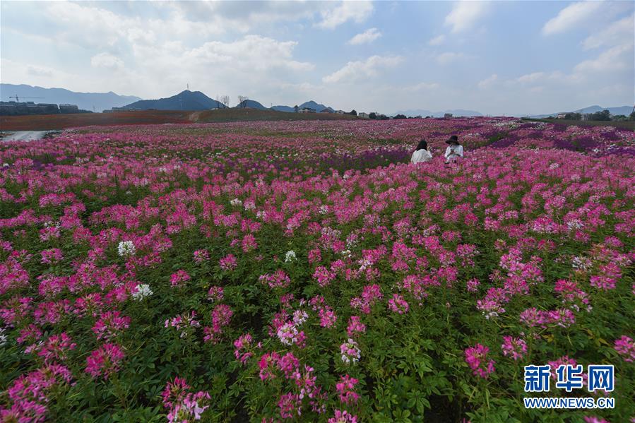 （環(huán)境）（5）浙江富陽：城市“生態(tài)綠肺”亮相