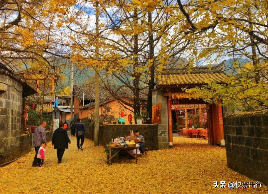 11月去旅行，國內(nèi)這些秋景哪個最讓你心動？