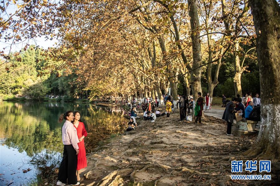 10月25日，游客在貴陽市花溪國家城市濕地公園黃金大道游玩、拍照留念。 深秋時分，貴州省貴陽市花溪國家城市濕地公園黃金大道秋意盎然，吸引眾多游客前來觀賞游玩。 新華社記者 陶亮 攝