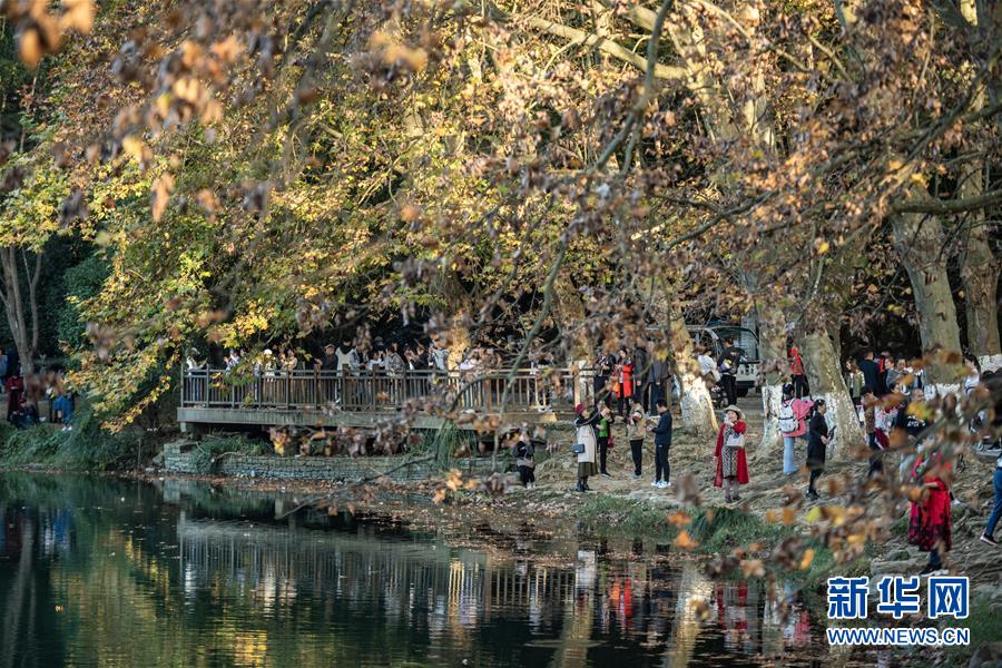10月25日，游客在貴陽市花溪國家城市濕地公園黃金大道游玩。 深秋時分，貴州省貴陽市花溪國家城市濕地公園黃金大道秋意盎然，吸引眾多游客前來觀賞游玩。 新華社記者 陶亮 攝
