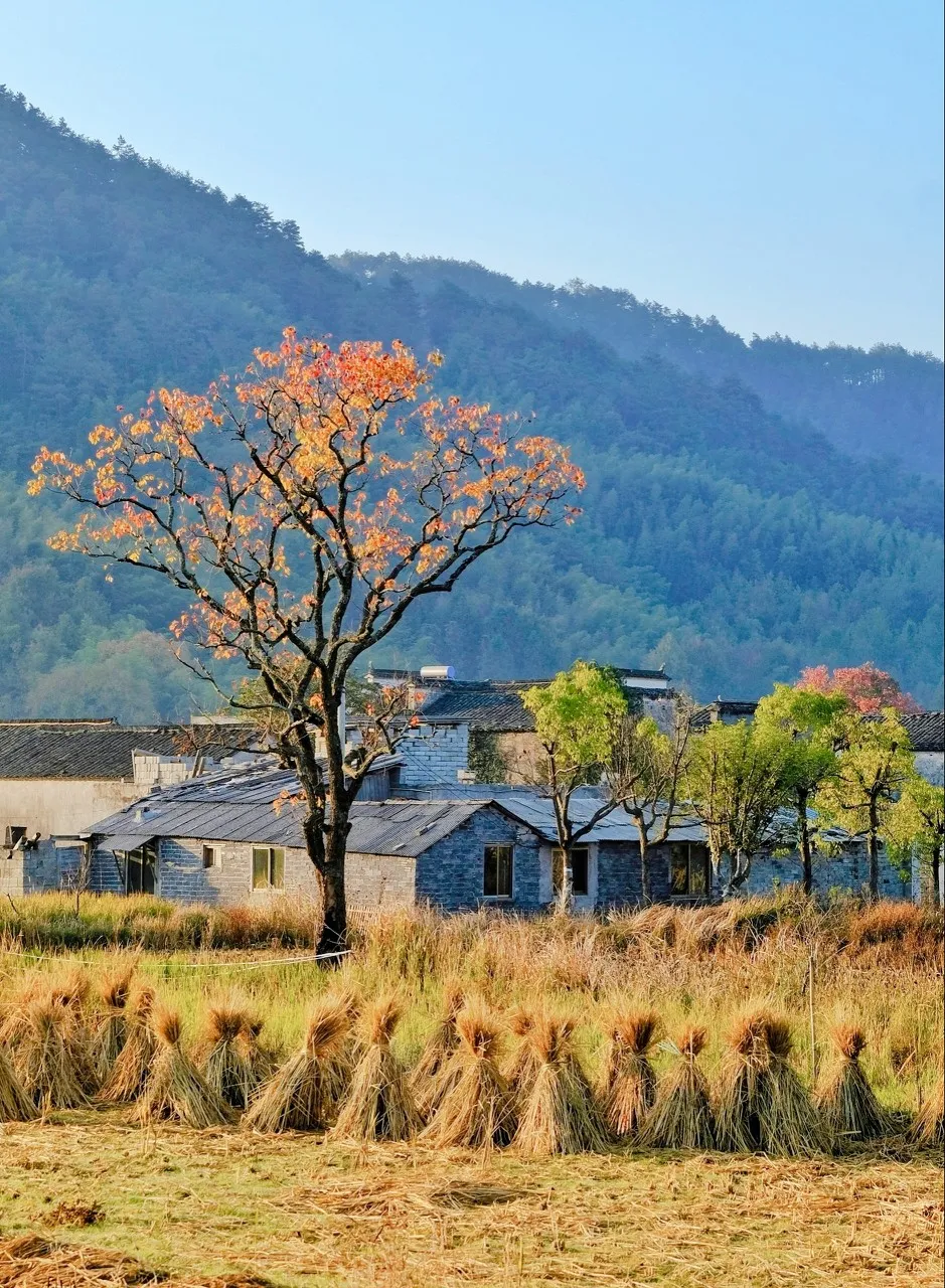 秋色絕美的10個(gè)古鎮(zhèn)，累了就去小住幾日