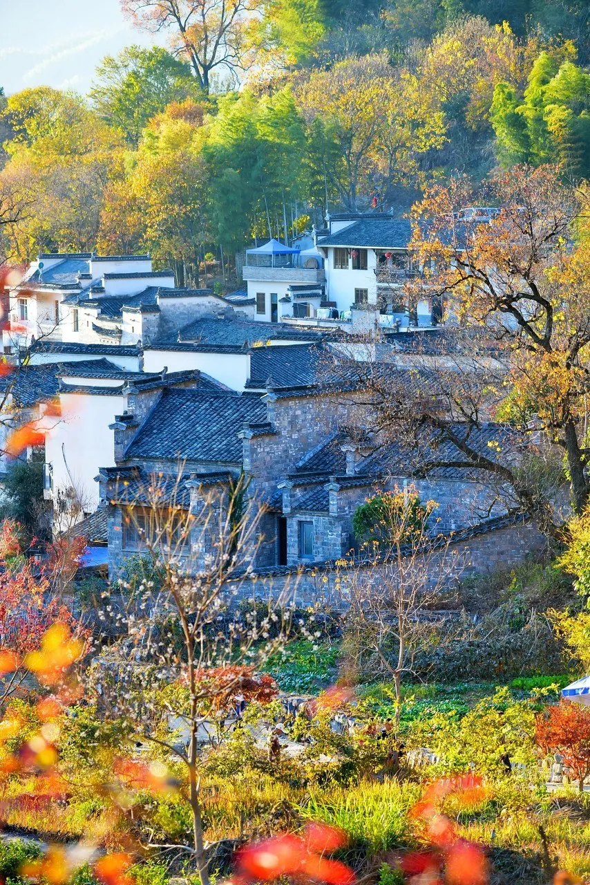 秋色絕美的10個(gè)古鎮(zhèn)，累了就去小住幾日
