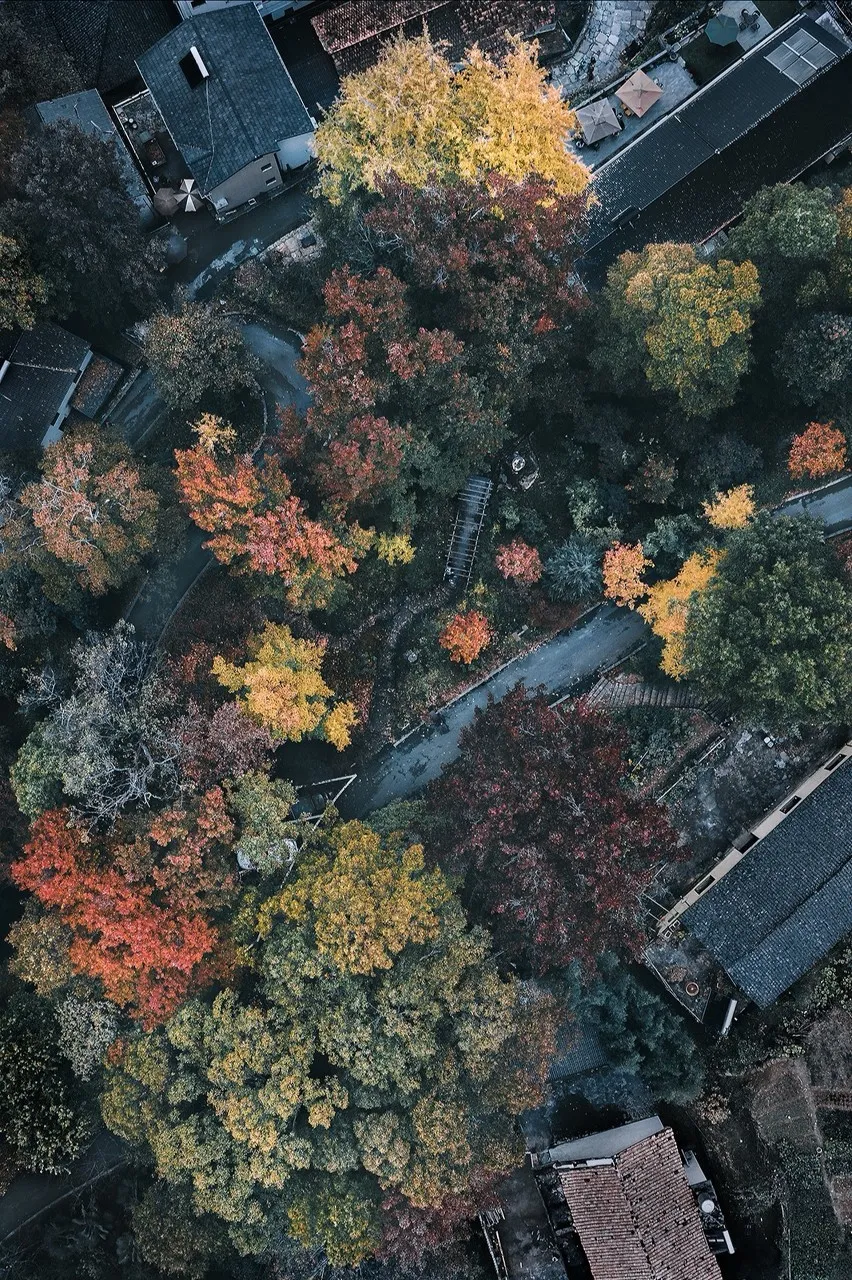 秋色絕美的10個(gè)古鎮(zhèn)，累了就去小住幾日