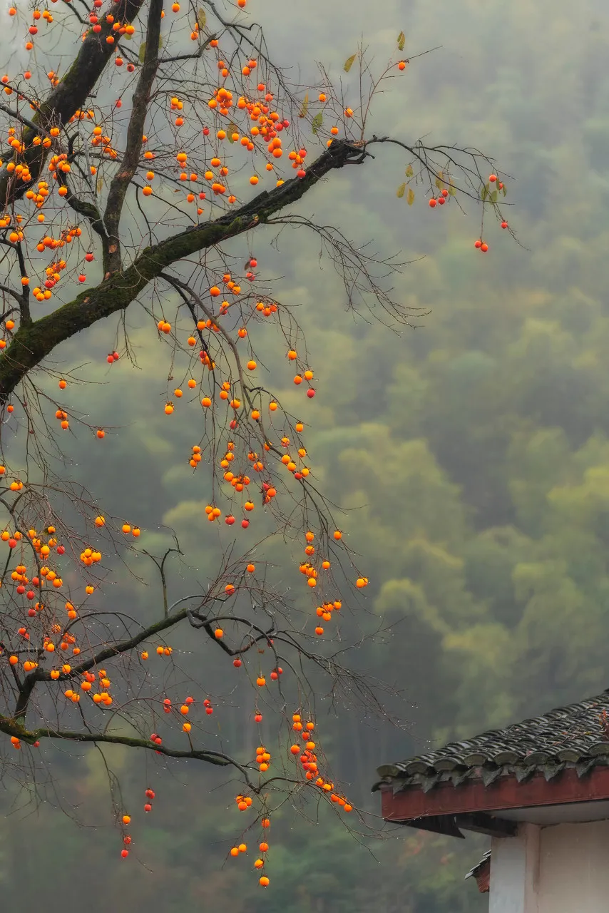 秋色絕美的10個(gè)古鎮(zhèn)，累了就去小住幾日