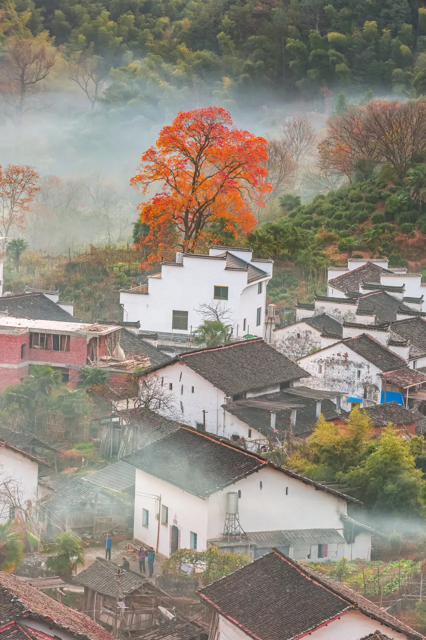 秋色絕美的10個(gè)古鎮(zhèn)，累了就去小住幾日