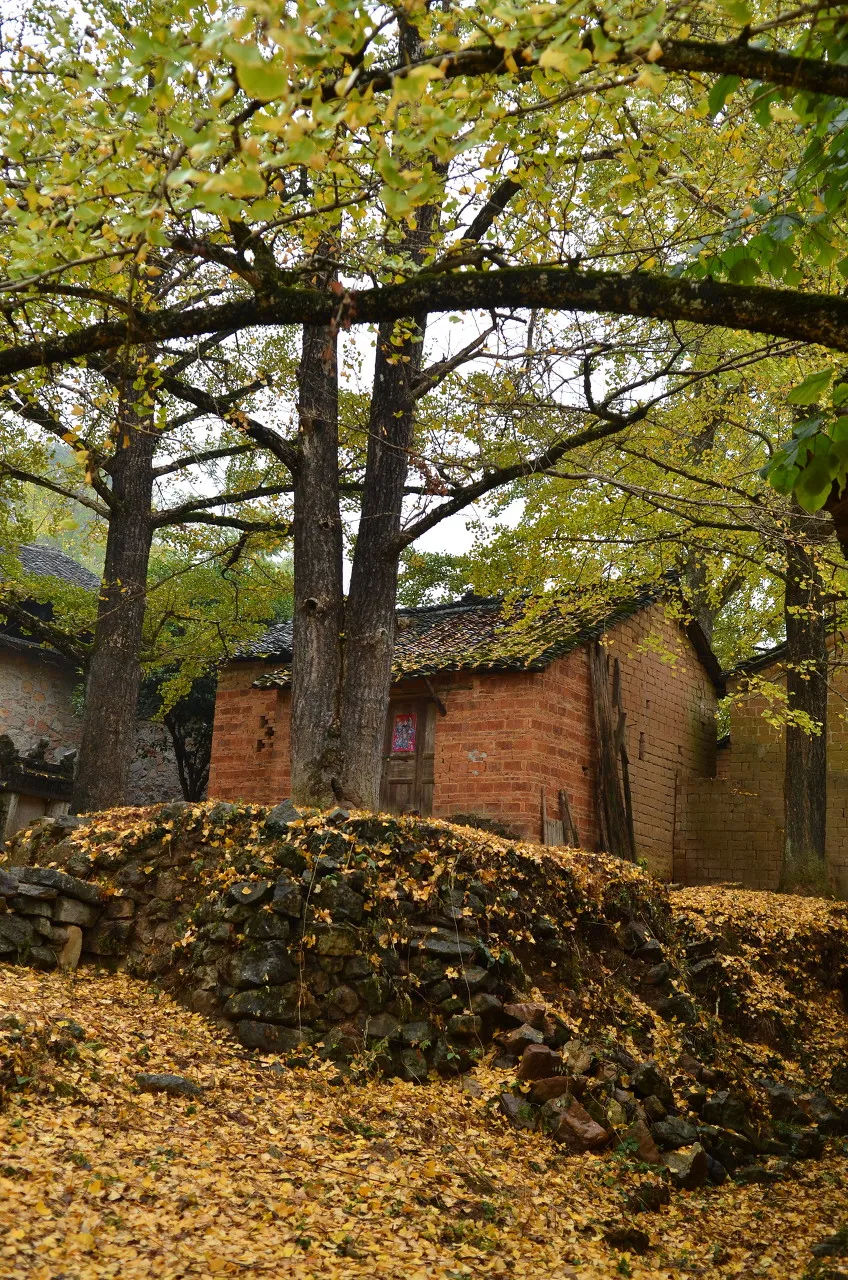 秋色絕美的10個(gè)古鎮(zhèn)，累了就去小住幾日