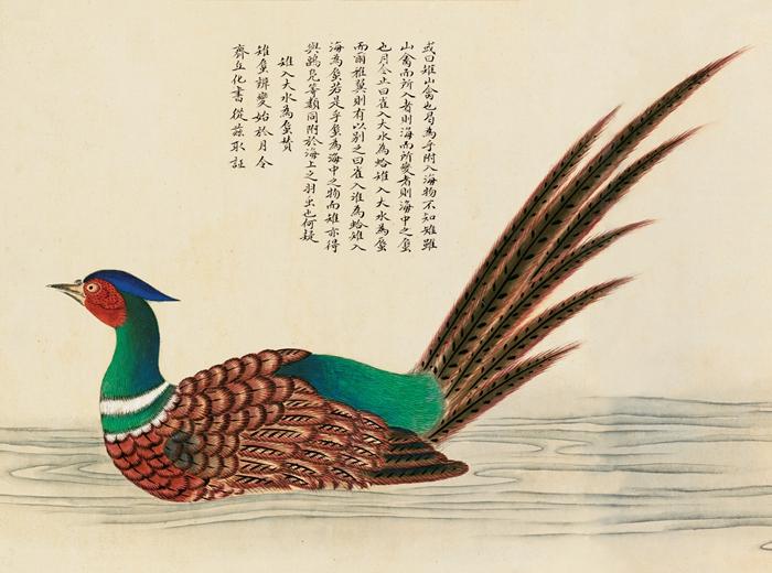 點擊進入下一頁
