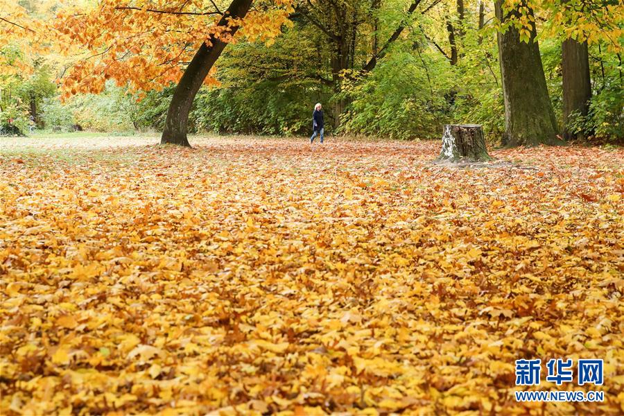 這是10月28日在德國首都柏林一座公園內(nèi)拍攝的一名行人。 新華社記者 單宇琦 攝