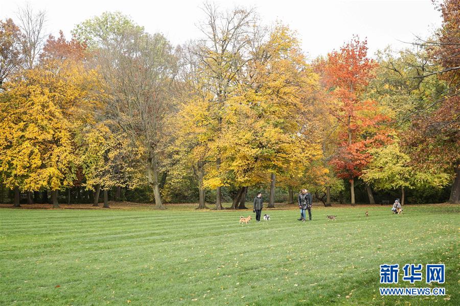 10月28日，行人帶著寵物狗在德國首都柏林的一座公園內(nèi)散步。 新華社記者 單宇琦 攝
