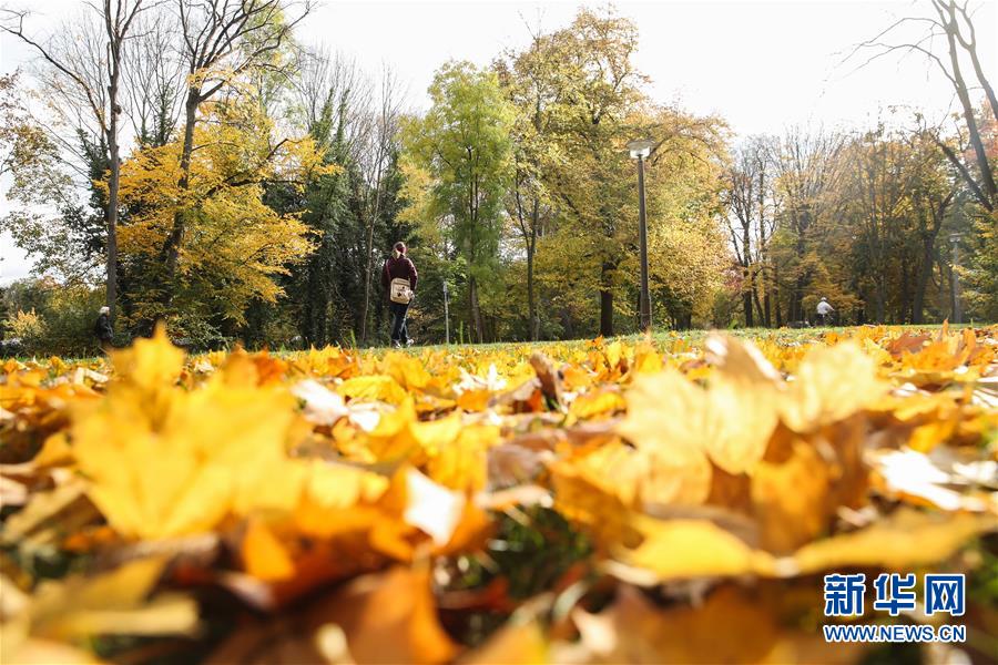 這是10月28日在德國首都柏林一座公園內(nèi)拍攝的一名行人。 新華社記者 單宇琦 攝