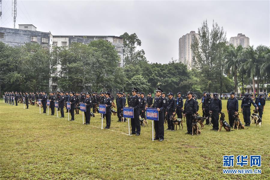 （社會(huì)）（1）廣西南寧：警犬秀技能