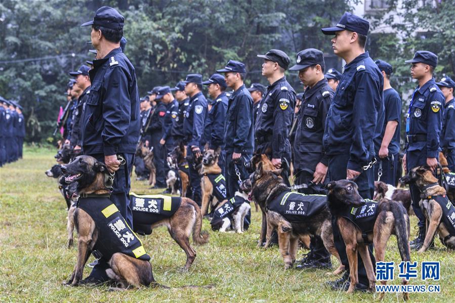 （社會(huì)）（2）廣西南寧：警犬秀技能