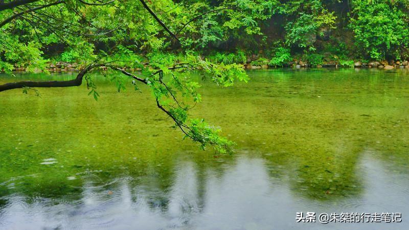 抓住秋天的尾巴，打卡我國最美的四大秋色觀賞地，錯過要再等一年