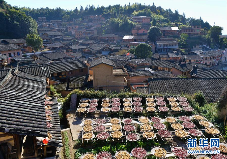 這是11月1日拍攝的桂峰村曬秋畫面。 深秋時節(jié)，位于福建省三明市尤溪縣洋中鎮(zhèn)的桂峰村，古民居與曬匾里五彩繽紛的農(nóng)作物，構(gòu)成五彩斑斕的調(diào)色板，展現(xiàn)秋收風情。 新華社記者魏培全攝