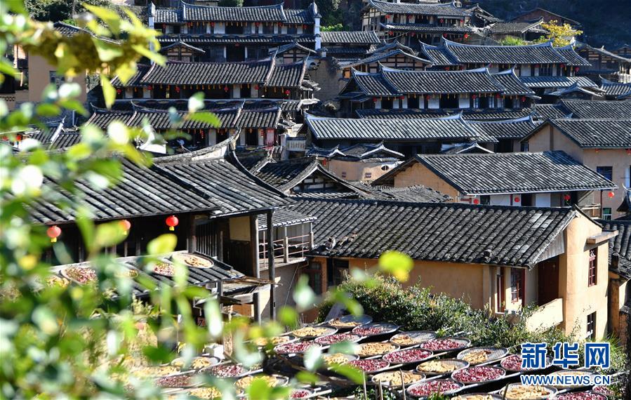 這是11月1日拍攝的桂峰村村貌。 深秋時節(jié)，位于福建省三明市尤溪縣洋中鎮(zhèn)的桂峰村，古民居與曬匾里五彩繽紛的農(nóng)作物，構(gòu)成五彩斑斕的調(diào)色板，展現(xiàn)秋收風情。 新華社記者魏培全攝