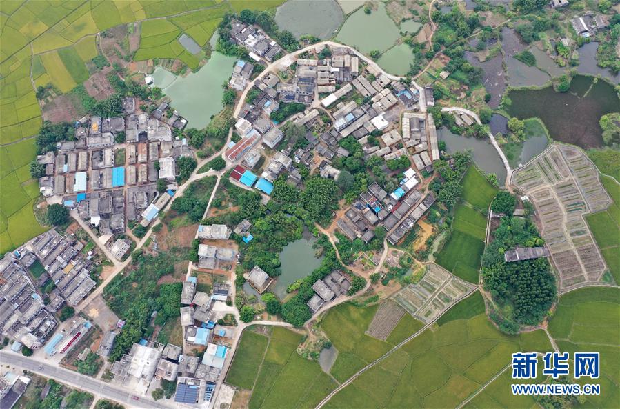 （環(huán)境）（3）廣西賓陽(yáng)：鄉(xiāng)村秋景美
