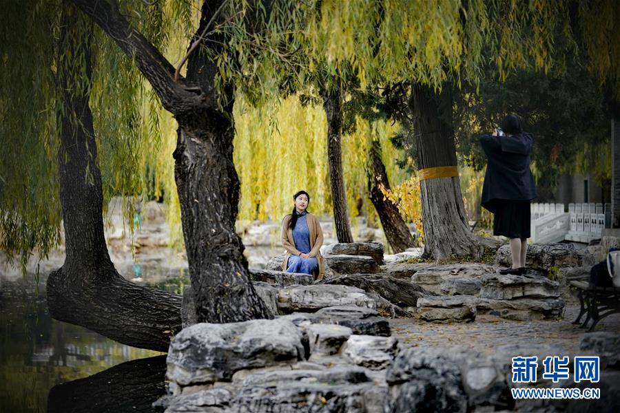 （環(huán)境）（9）清華園秋色