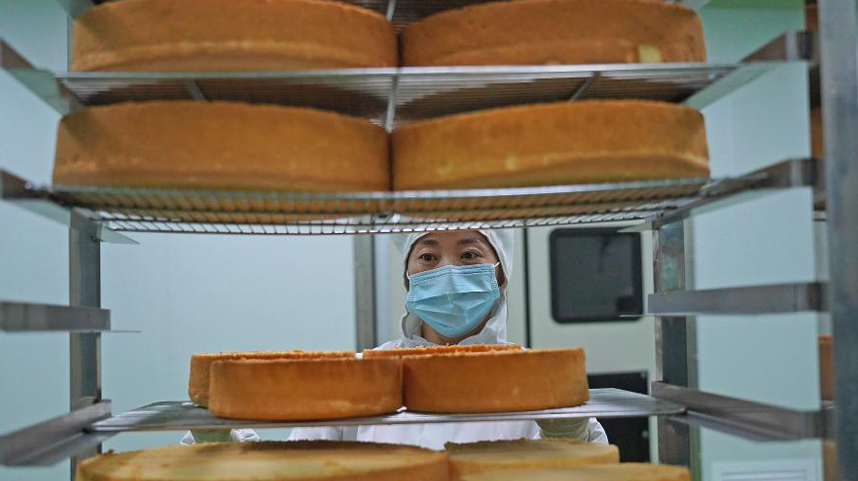 資溪縣面包食品產(chǎn)業(yè)城內(nèi)一家面包企業(yè)的工人在制作蛋糕（11月11日攝）。近年來，江西省資溪縣通過建設(shè)面包食品產(chǎn)業(yè)城、舉辦面包文化節(jié)、構(gòu)建面包全產(chǎn)業(yè)鏈等舉措，帶動(dòng)當(dāng)?shù)厝罕娫鍪罩赂弧?jù)了解，資溪縣12.6萬人口中有近5萬人從事面包及相關(guān)產(chǎn)業(yè)，有“中國(guó)面包之鄉(xiāng)”稱號(hào)。新華社記者 萬象 攝