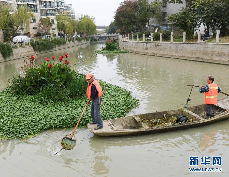11月16日，工作人員在環(huán)渚街道藤橋港河道里清除雜物。2013年起，浙江湖州吳興區(qū)環(huán)渚街道開始對(duì)轄區(qū)內(nèi)污染較嚴(yán)重的藤橋港河道進(jìn)行整治，強(qiáng)化落實(shí)河長(zhǎng)制，加大水生植物種植率，并通過手機(jī)APP及時(shí)上報(bào)巡河問題，使河道水環(huán)境面貌和水質(zhì)獲得明顯改善。新華社記者 翁忻旸 攝