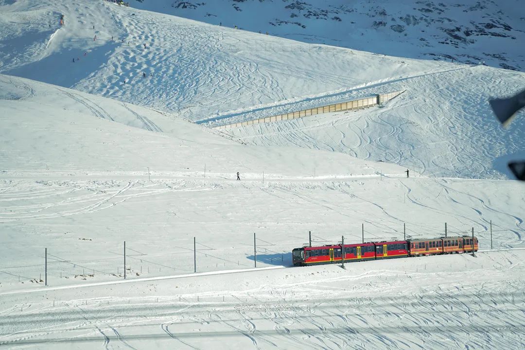 歐洲人冬日“大型娛樂項目”，來年冬天就去這些城市滑雪