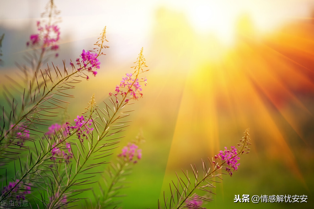 嘴上留德已是最好的風(fēng)水，何須找大師占卜算卦？