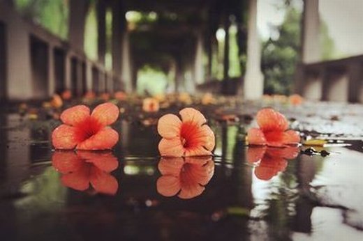 人到中年，學(xué)會(huì)“斷舍離”，你會(huì)越來越“富有”