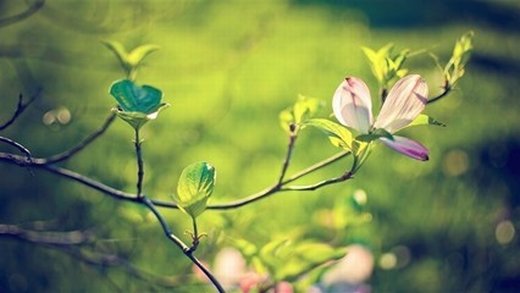 人到中年，學(xué)會(huì)“斷舍離”，你會(huì)越來越“富有”