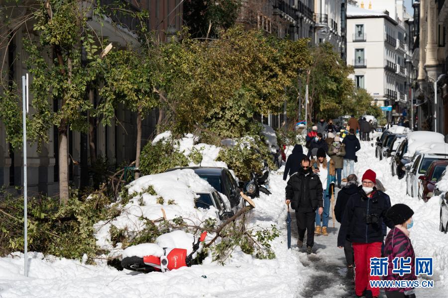 1月10日，在西班牙馬德里市中心，被雪壓斷的樹枝砸在路邊停放的車輛上。西班牙內政大臣馬拉斯卡10日說，風暴“菲洛梅娜”帶來的暴雪和寒冷天氣造成西班牙4人死亡。在受影響最為嚴重的中部和東部，部分地區(qū)積雪厚度接近50厘米；許多樹木被積雪壓倒，一些道路被阻斷；大量運輸車滯留在公路上。西班牙交通大臣阿瓦洛斯表示，9日交通陷入癱瘓的馬德里已于10日恢復部分長途鐵路運輸服務。新華社記者 孟鼎博 攝