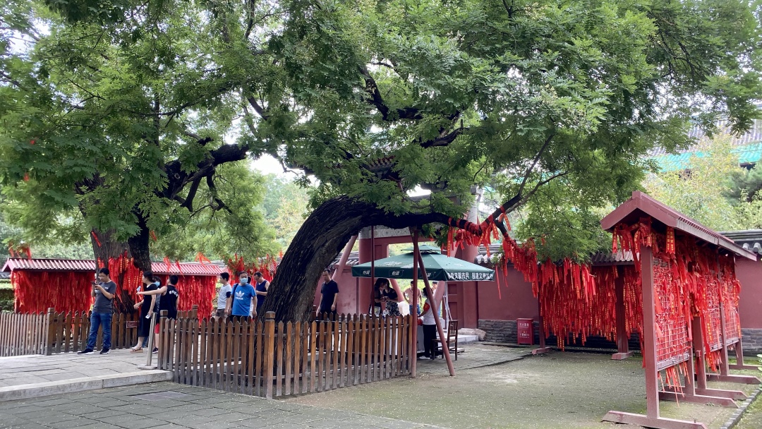 河北被忽略的小城，藏著與北京故宮媲美的寺廟，擁有7大全國之最