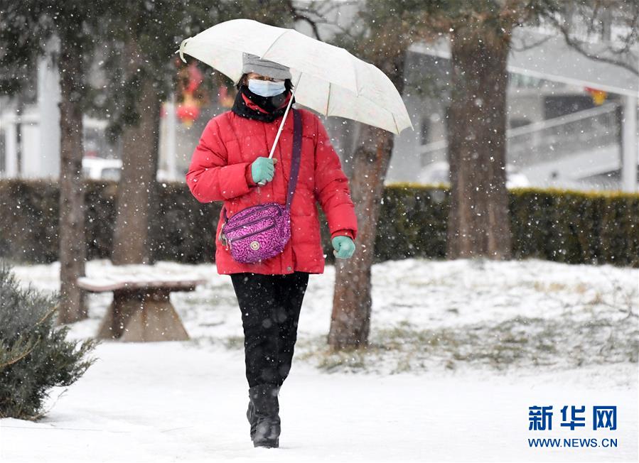 （新華視界）（3）北京降雪