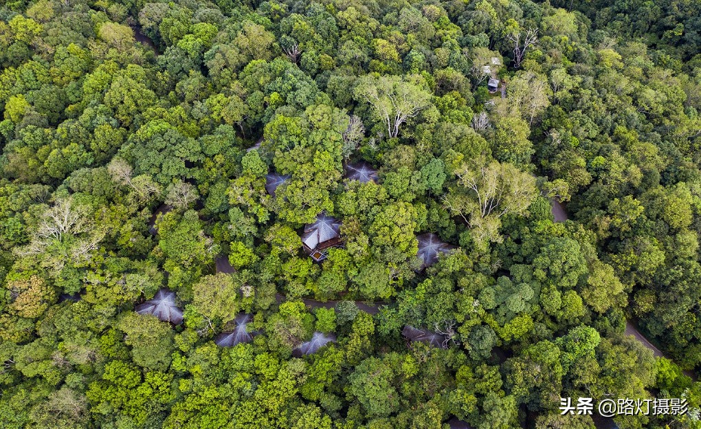 云南很適合養(yǎng)老的小城，冬比昆明暖，夏比北海涼，你知道是哪嗎？