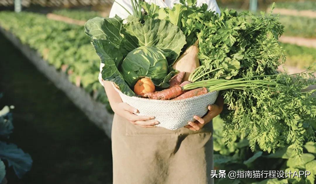 7個(gè)超適合度假的江浙滬酒店，不出省也能玩轉(zhuǎn)春節(jié)假期