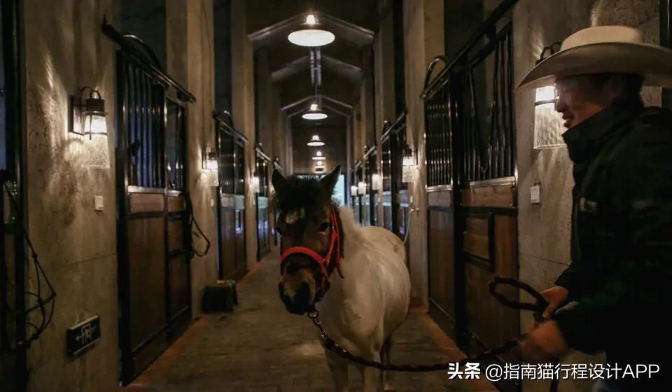 7個(gè)超適合度假的江浙滬酒店，不出省也能玩轉(zhuǎn)春節(jié)假期