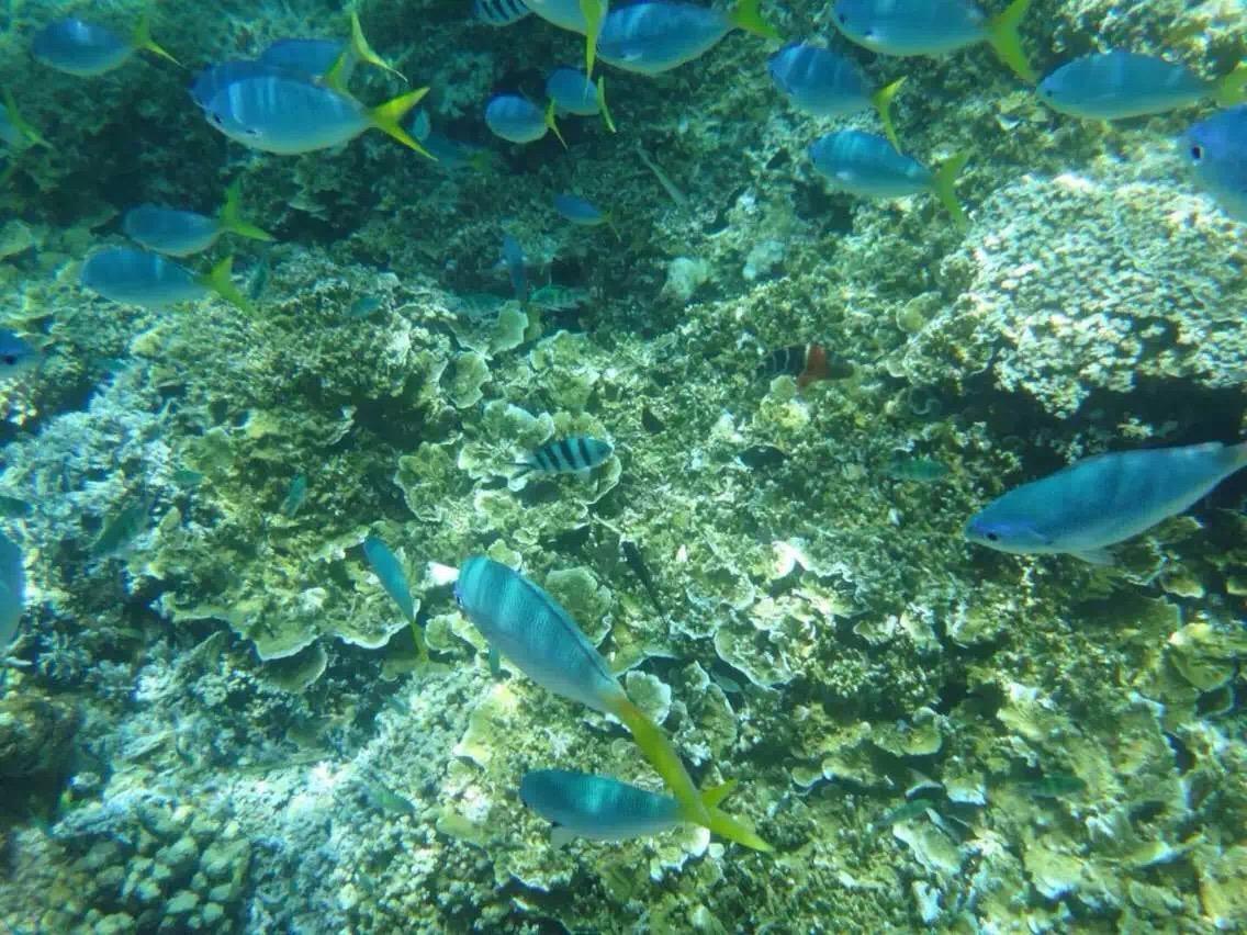 中國最美的5個海島，風景不輸馬爾代夫，你去過幾個？